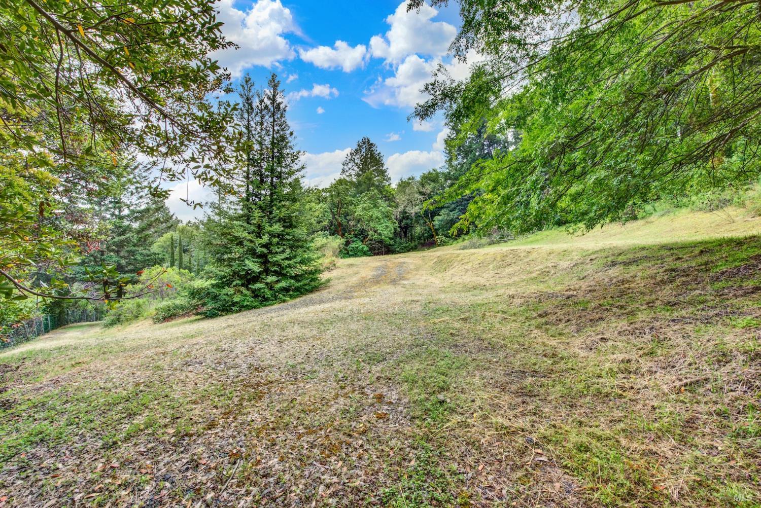 4615 Dry Creek Road Napa, CA 94558 - Photo 5 of 31 a view of a yard with plants and a trees