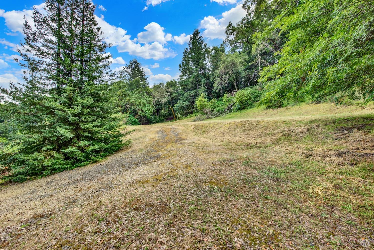 4615 Dry Creek Road Napa, CA 94558 - Photo 6 of 31 a view of a yard with a tree