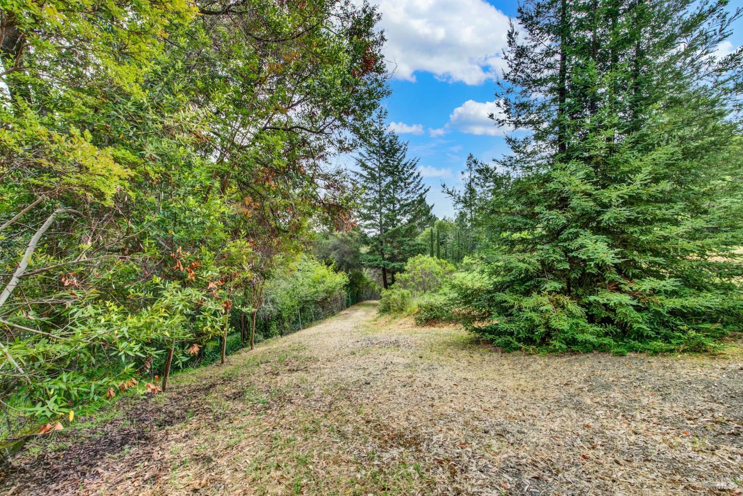 4615 Dry Creek Road Napa, CA 94558 - Photo 7 of 31 a view of a yard with plants and a bench