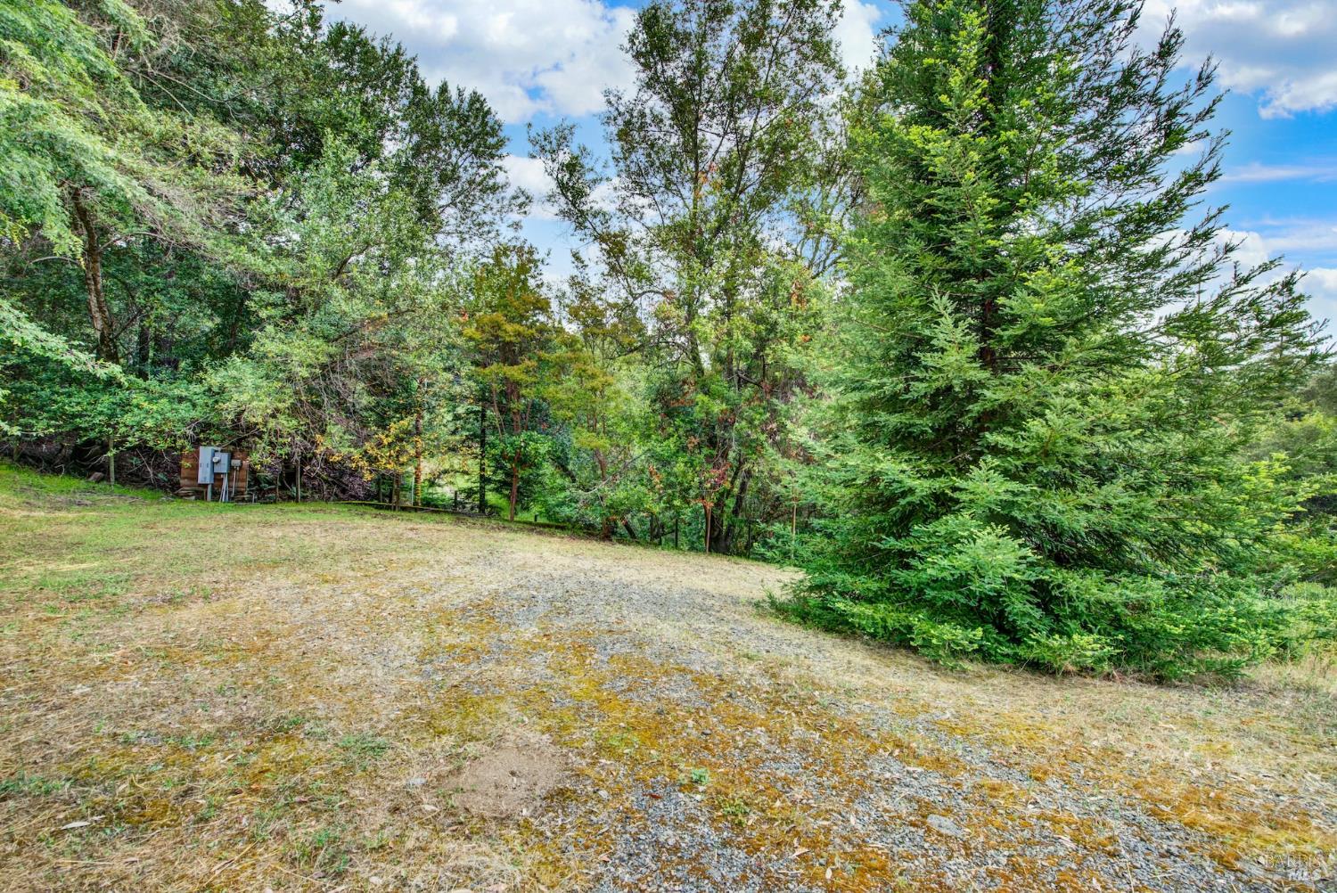 4615 Dry Creek Road Napa, CA 94558 - Photo 8 of 31 a view of a yard with a trees