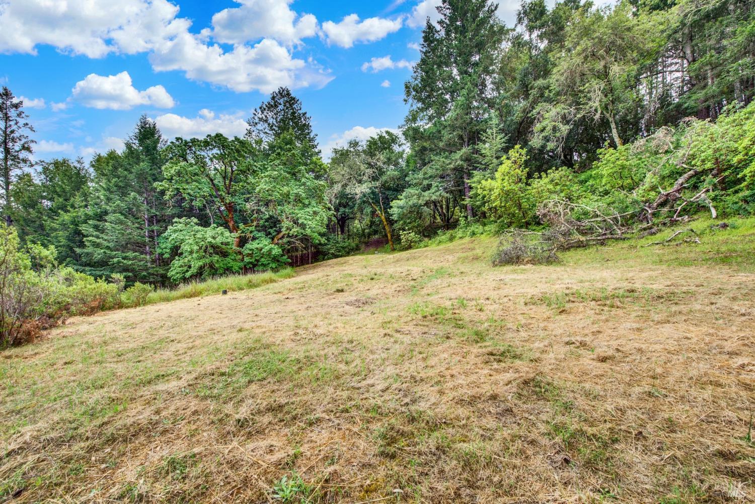 4615 Dry Creek Road Napa, CA 94558 - Photo 9 of 31 a view of a yard with a tree