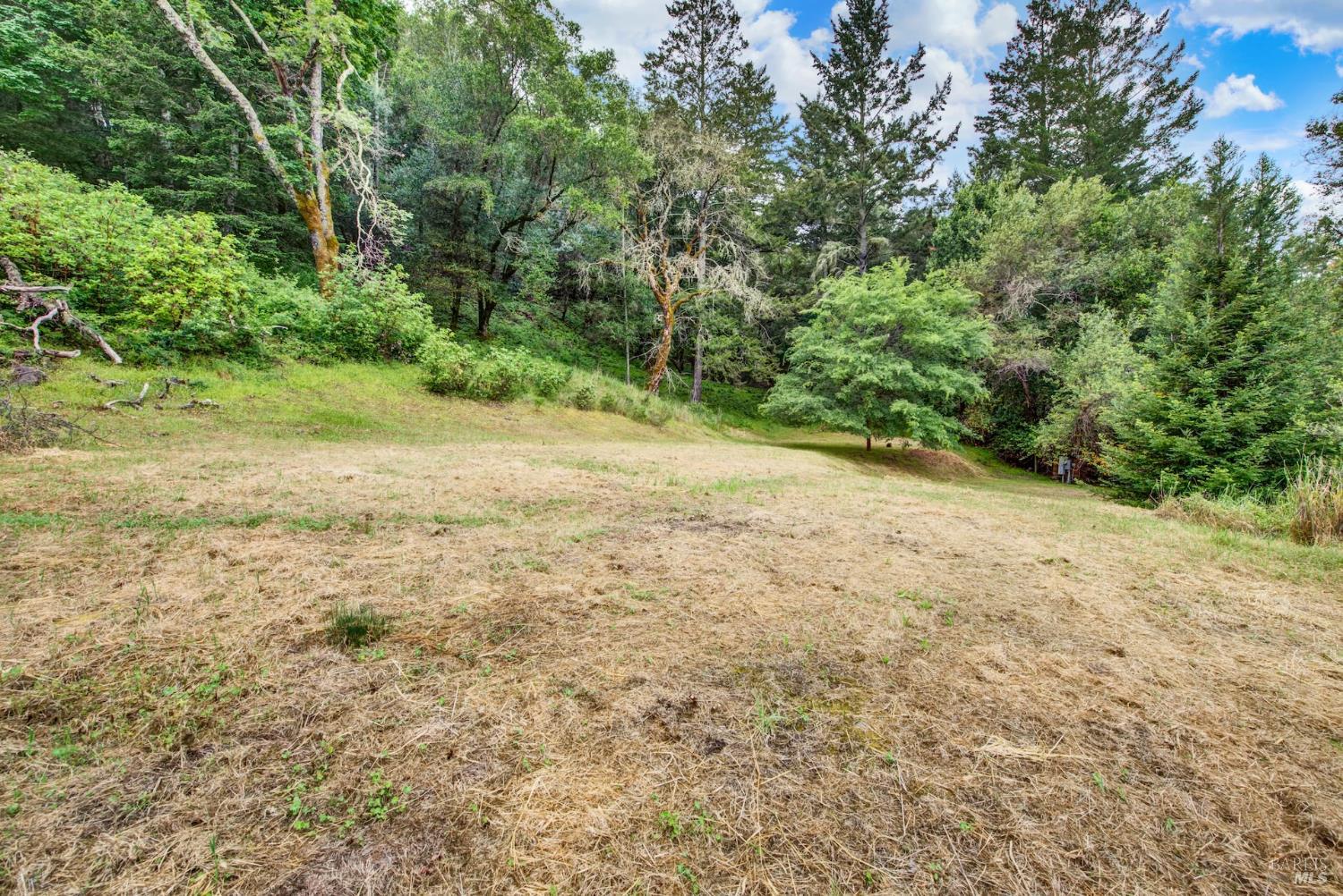 4615 Dry Creek Road Napa, CA 94558 - Photo 10 of 31 a view of a yard with a tree