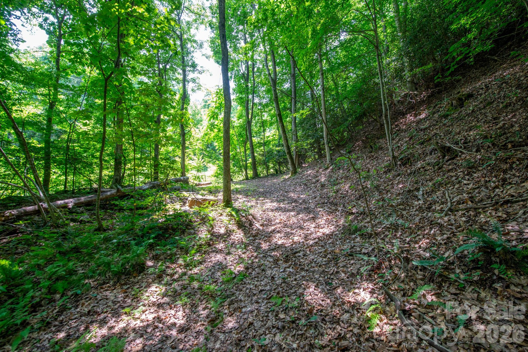 ### Board Tree Road, Unit 4 Marshall, NC 28753 - Photo 8 of 17