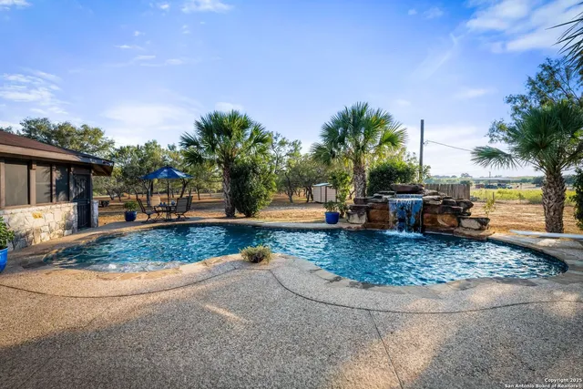 a view of a backyard with palm trees