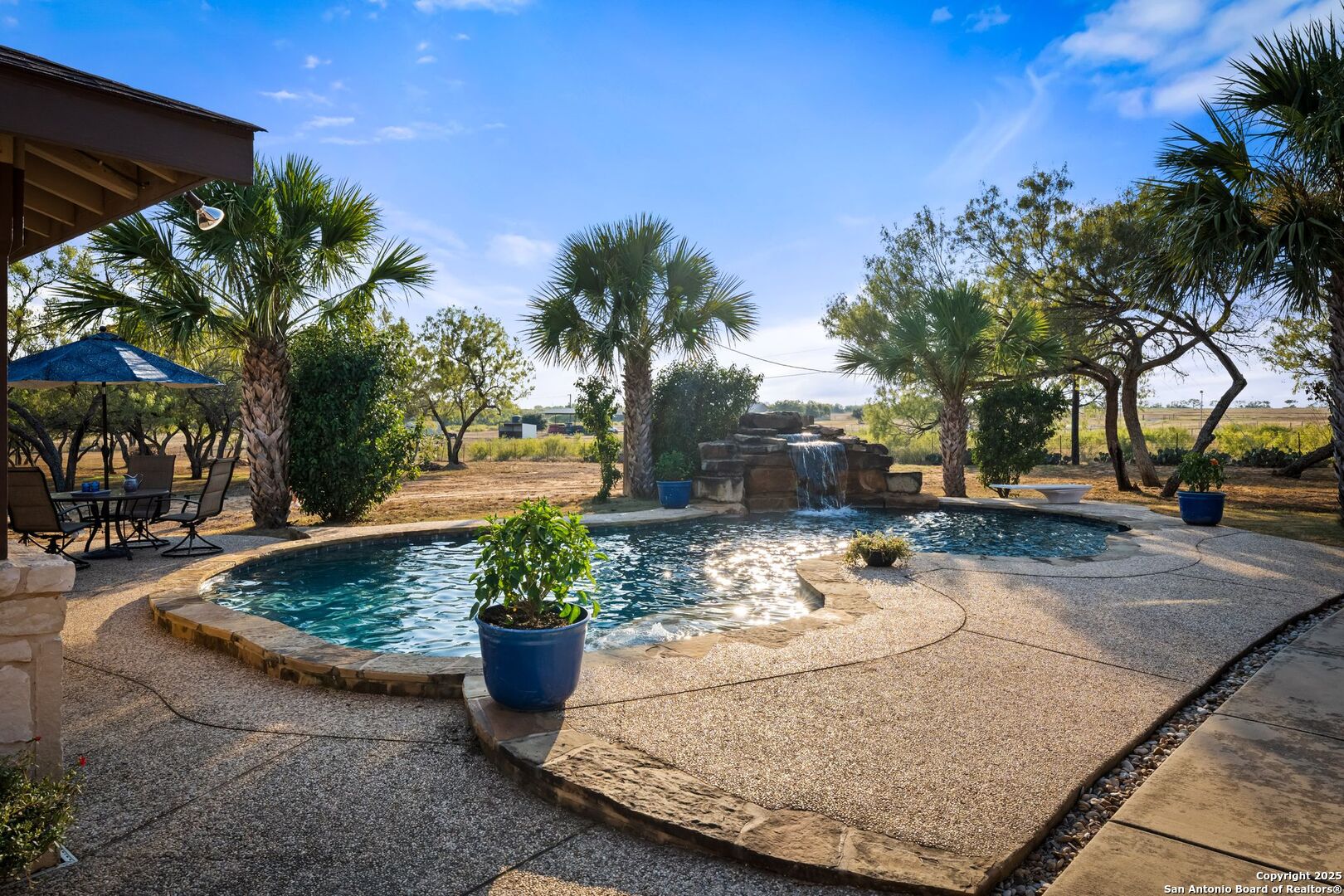 765 Highway 1604 Loop St. Hedwig, TX 78101 - Photo 33 of 50 a view of a backyard with palm trees