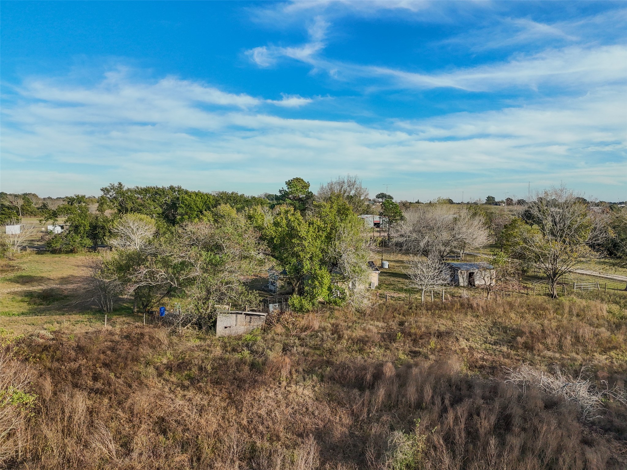 19703 Frey Road Pine Island, TX 77445 - Photo 10 of 18 a view of a bunch of trees in a field