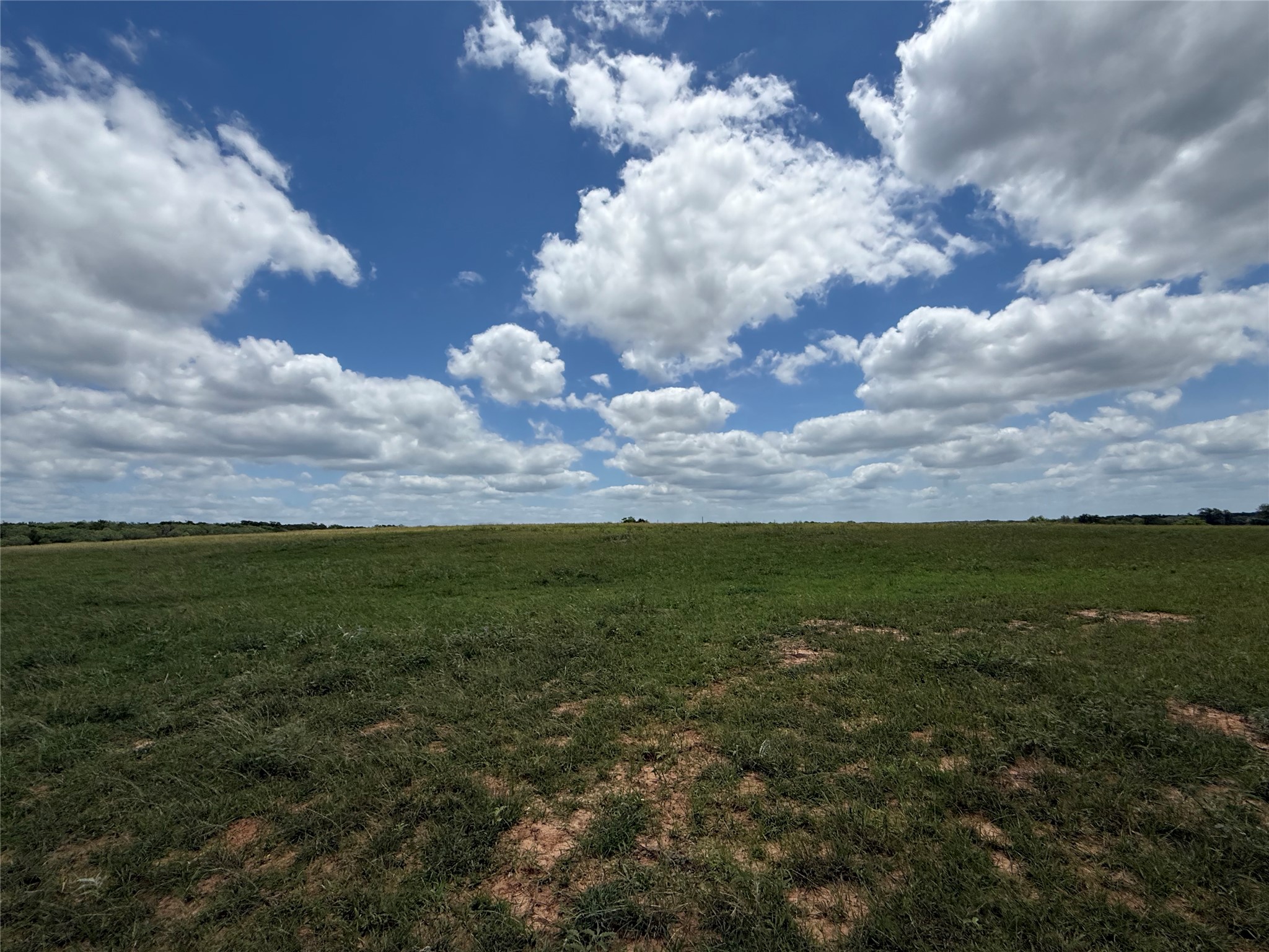 Tbd Pettytown Road Red Rock, TX 78662 - Photo 3 of 6 a view of a big yard with lots of green space