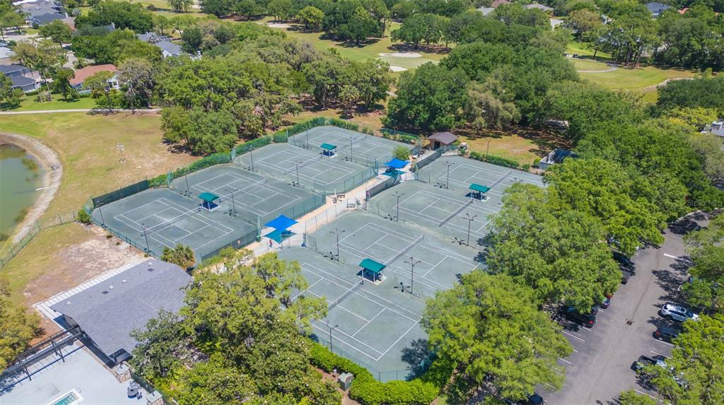 3516 Shadowood Drive Valrico, FL 33596 - Photo 49 of 56