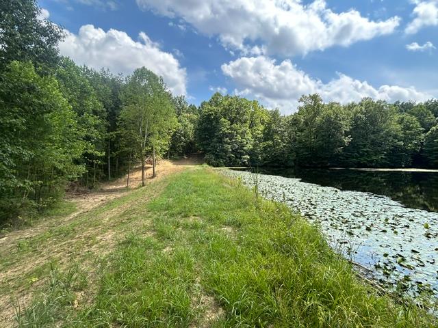 24229 Sanes Creek Road Laurel, IN 47024 - Photo 41 of 54