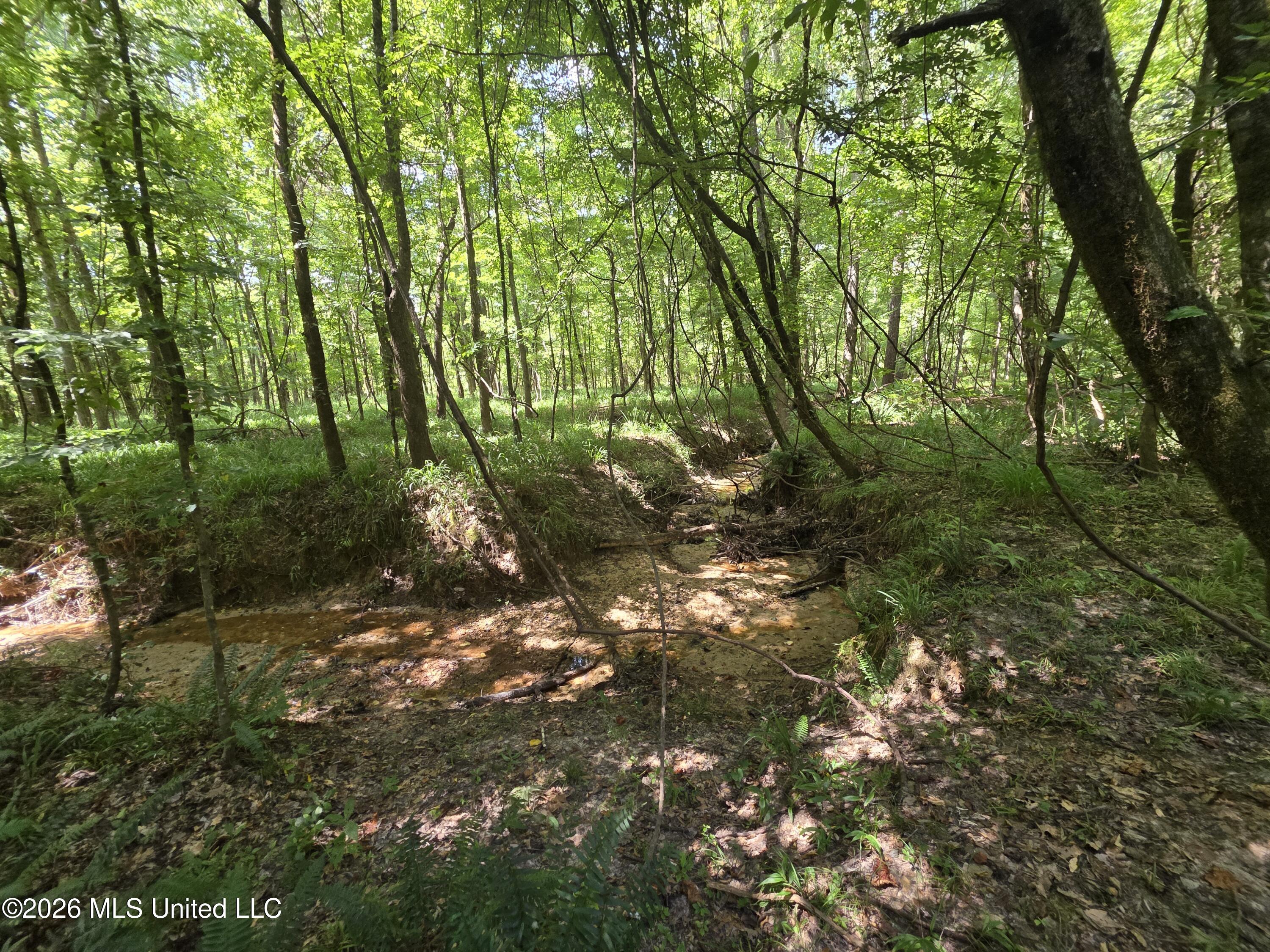 Oldenburg Road Roxie, MS 39661 - Photo 15 of 87 38173