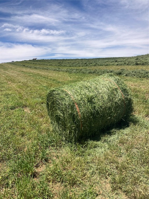 Tbd Tbd Cr-109 Craig, CO 81625 - Photo 4 of 5 a view of yard with ocean view
