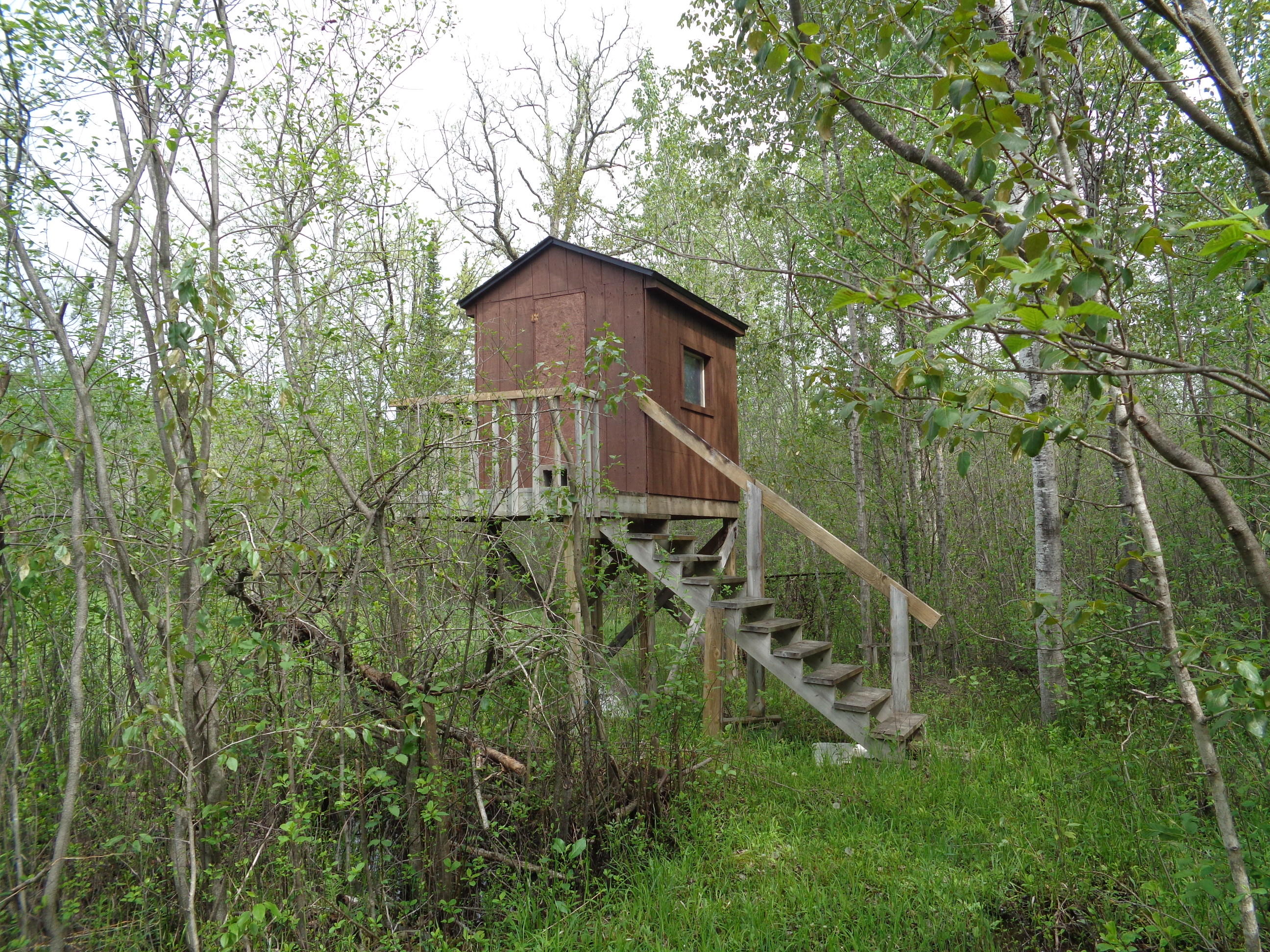 3376 Salina Road Lachine, MI 49753 - Photo 31 of 37 Gallery Image 31
