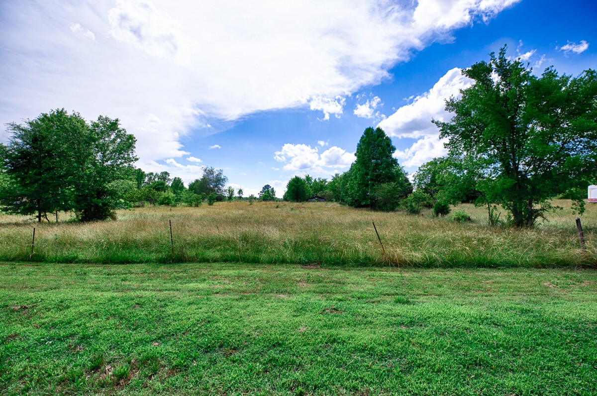 2 Toney School Road Toney, AL 35773 - Photo 7 of 7 a view of a backyard