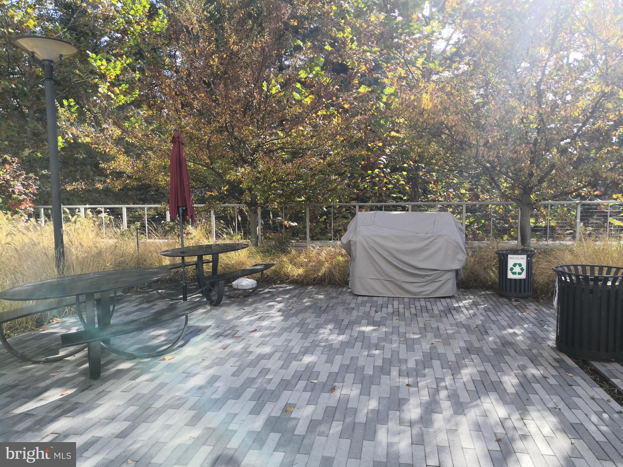 5101 River Road, Unit 904 Bethesda, MD 20816 - Photo 35 of 38 Picnic Area