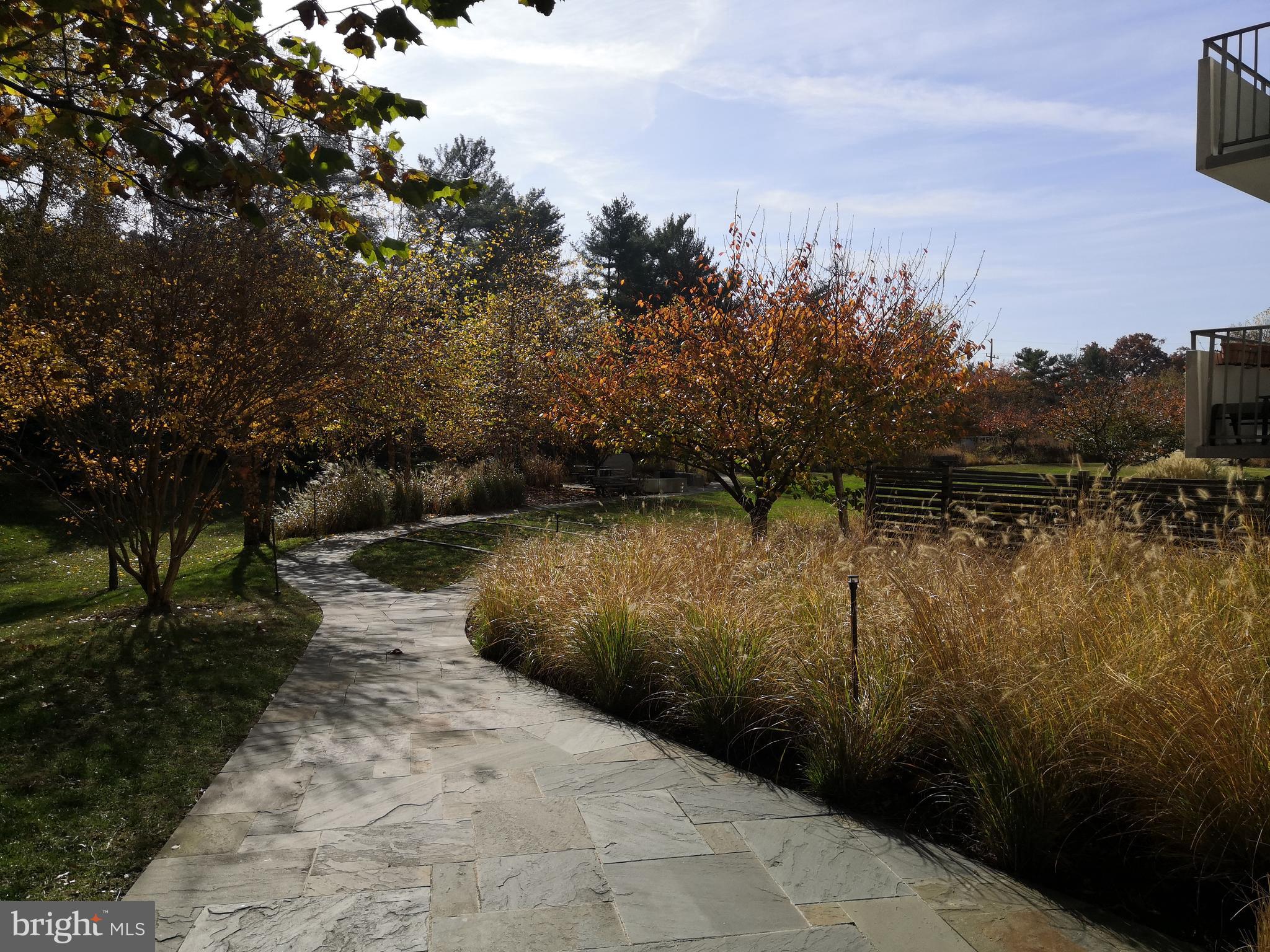 5101 River Road, Unit 904 Bethesda, MD 20816 - Photo 37 of 38 Garden