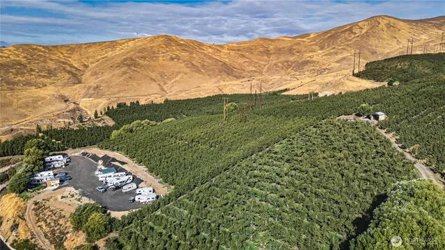 a view of a mountain