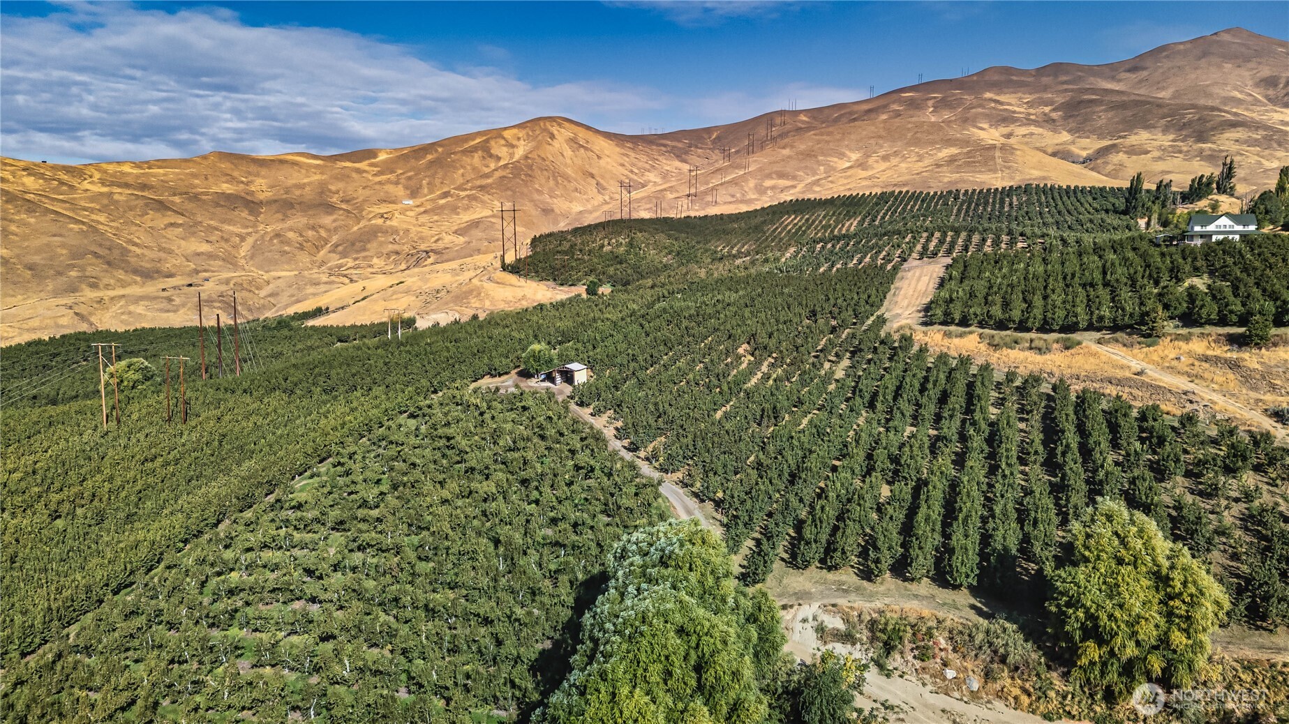 394 Lure Lane Wenatchee, WA 98801 - Photo 15 of 27 a view of a large trees with mountains in the background