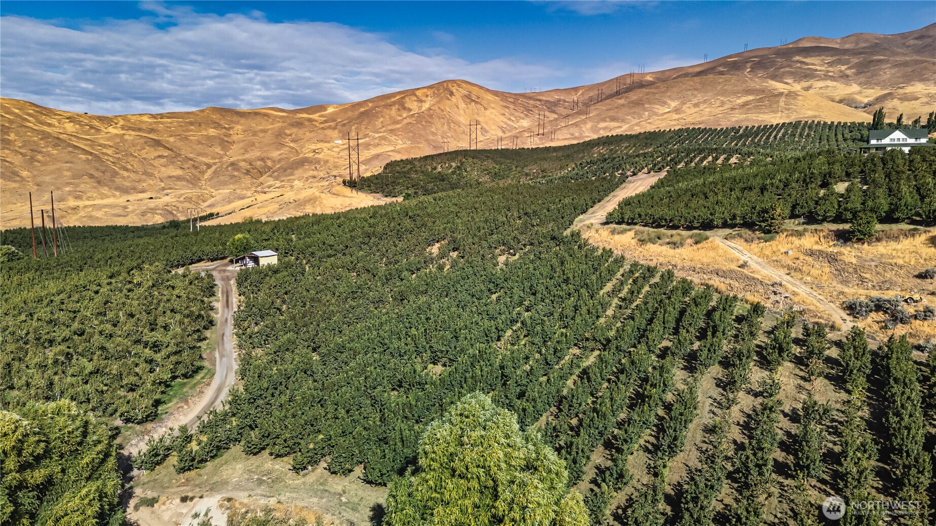 394 Lure Lane Wenatchee, WA 98801 - Photo 16 of 27 a view of a mountain