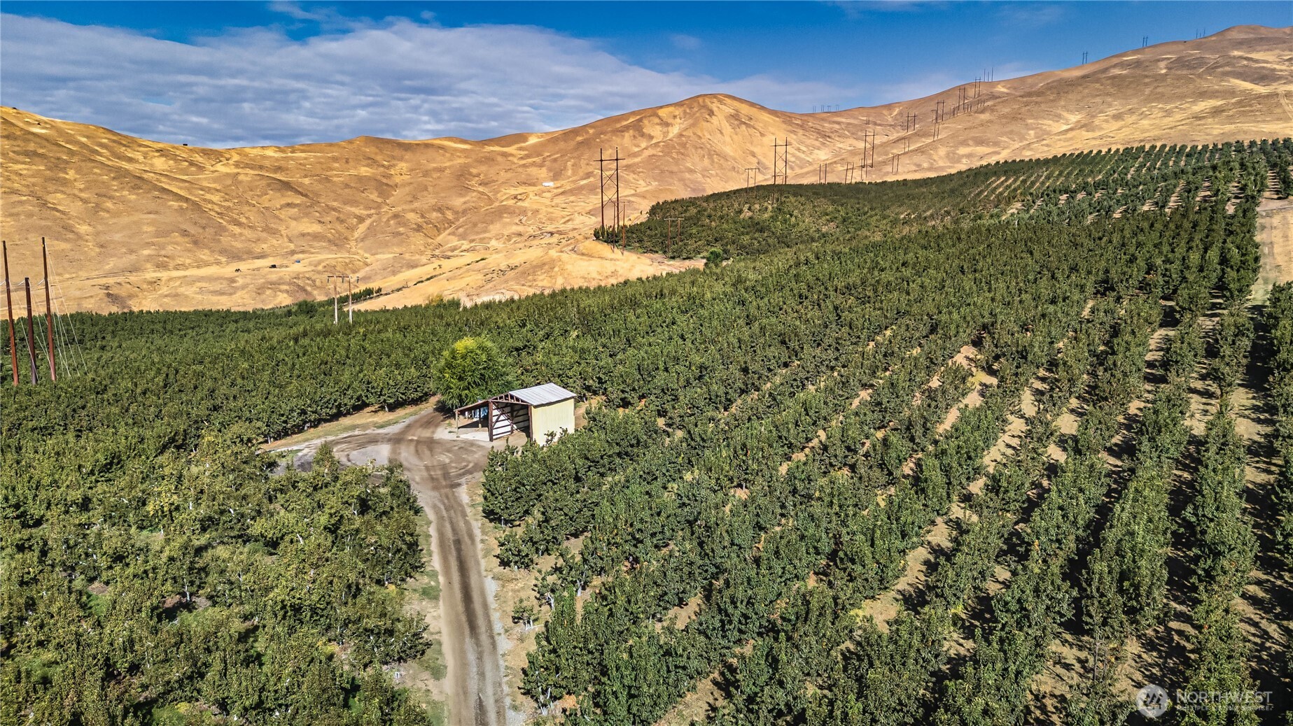 394 Lure Lane Wenatchee, WA 98801 - Photo 17 of 27 a view of a field with a mountain in the background