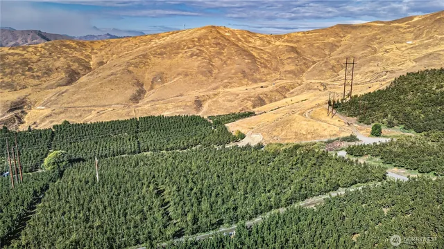 a view of a houses with a yard