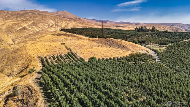 $2,262,000 | 394 Lure Lane, Wenatchee, WA 98801