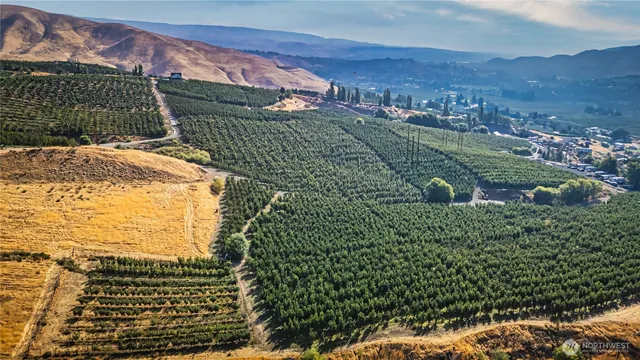 a view of a yard with an outdoor space