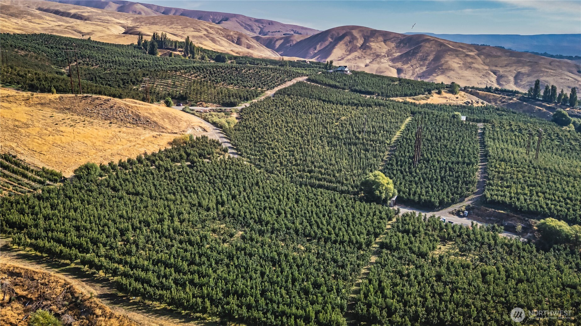 394 Lure Lane Wenatchee, WA 98801 - Photo 6 of 27 a view of a garden