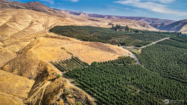 a view of a lush green hillside and houses