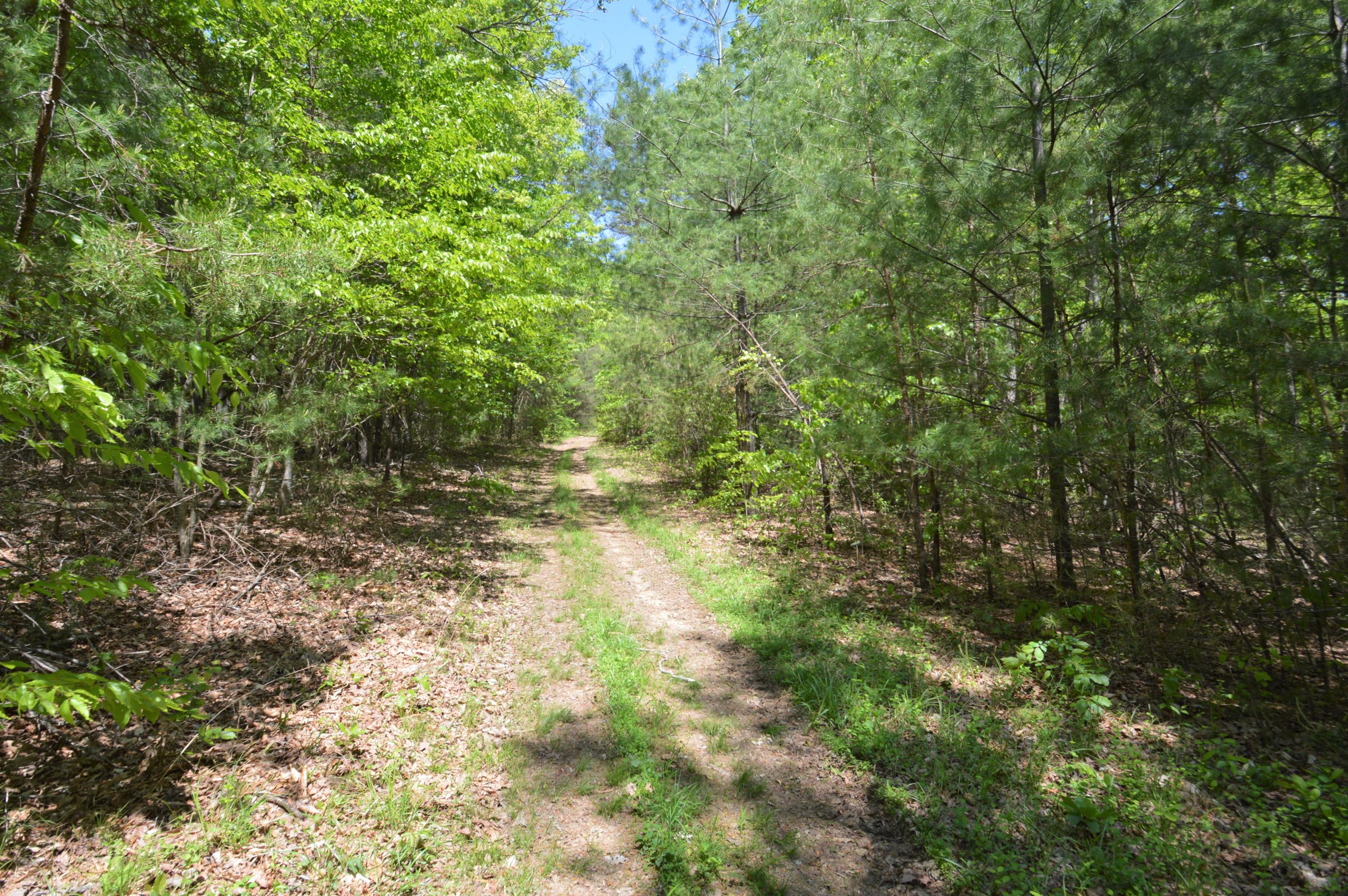 1280 Dryhill Road Ferrum, VA 24088 - Photo 53 of 58 a view of forest