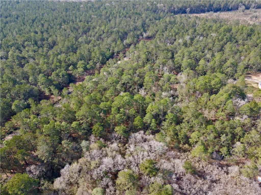 18320 Amore Way Covington, LA 70433 - Photo 12 of 13