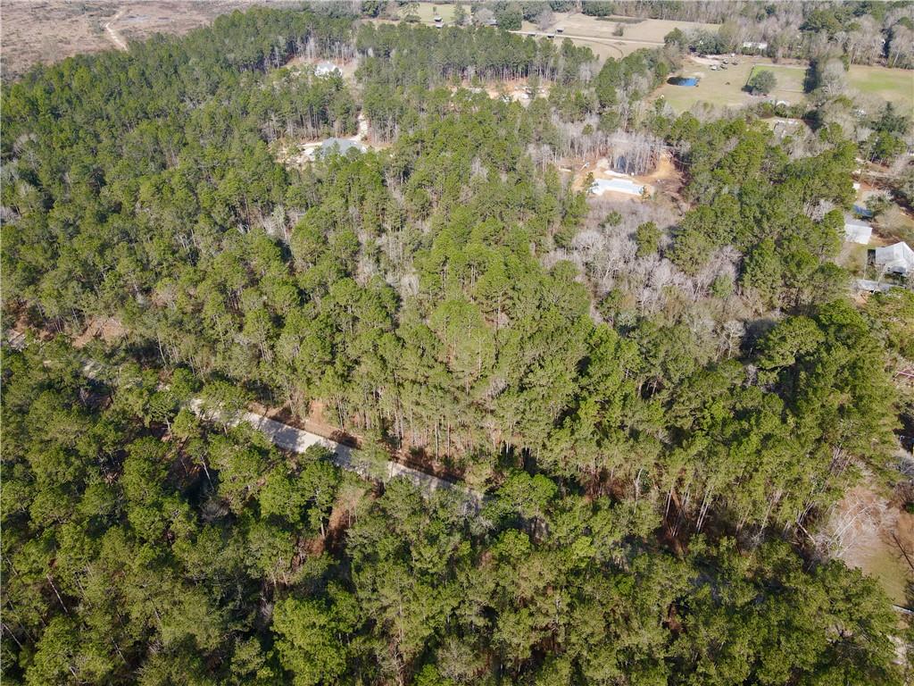 18320 Amore Way Covington, LA 70433 - Photo 6 of 13