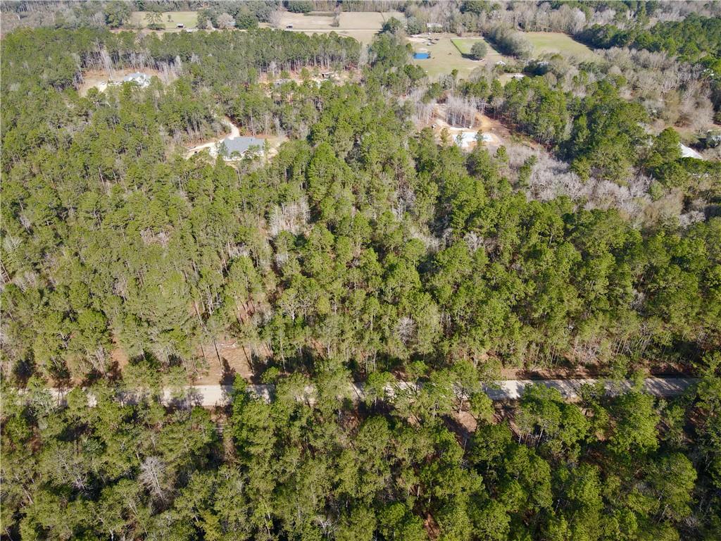 18320 Amore Way Covington, LA 70433 - Photo 7 of 13