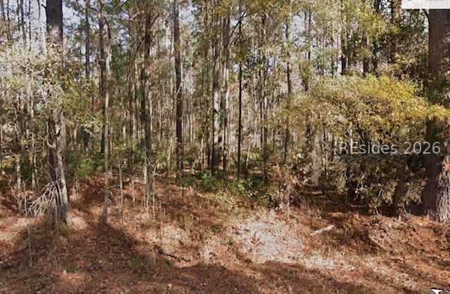978 Pleasant Hill Road Garnett, SC 29922 - Photo 1 of 5