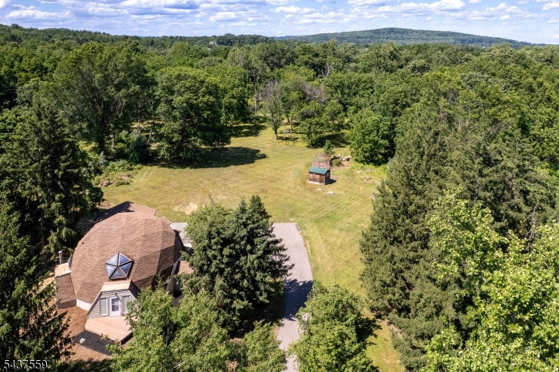 20 Sand Hill Road Flemington, NJ 08822 - Photo 4 of 32