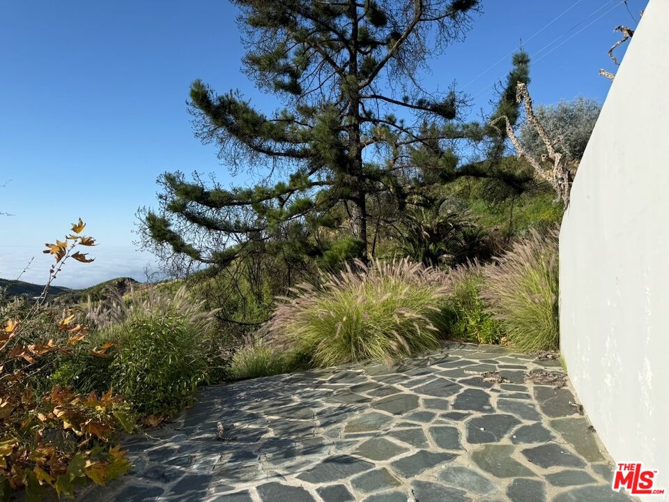 2566 Tuna Canyon Road Topanga, CA 90290 - Photo 11 of 30 a vase of flowers sitting on a floor