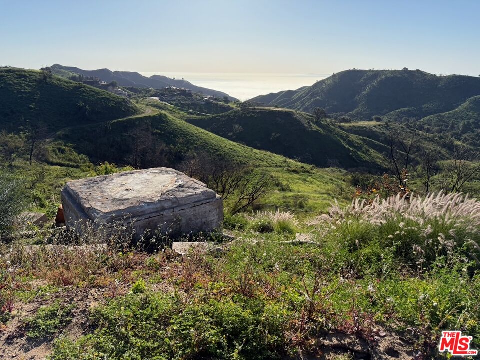2566 Tuna Canyon Road Topanga, CA 90290 - Photo 12 of 30 a view of a lush green hillside and a house