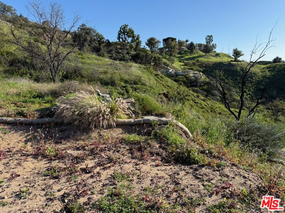 2566 Tuna Canyon Road Topanga, CA 90290 - Photo 13 of 30 a view of a forest with a houses