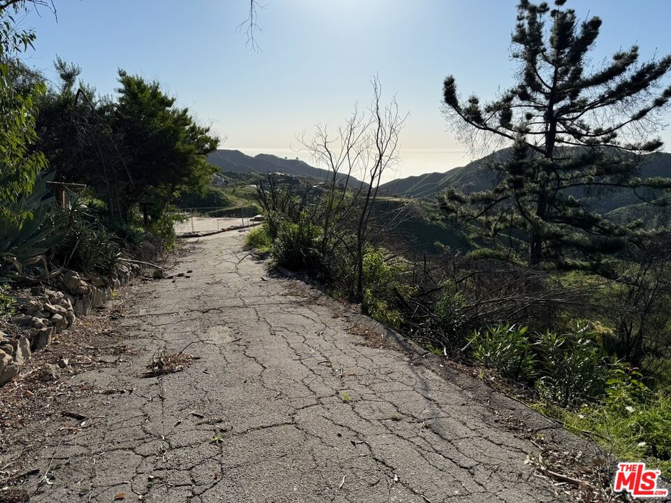 2566 Tuna Canyon Road Topanga, CA 90290 - Photo 14 of 30 a view of a yard with plants and a bench