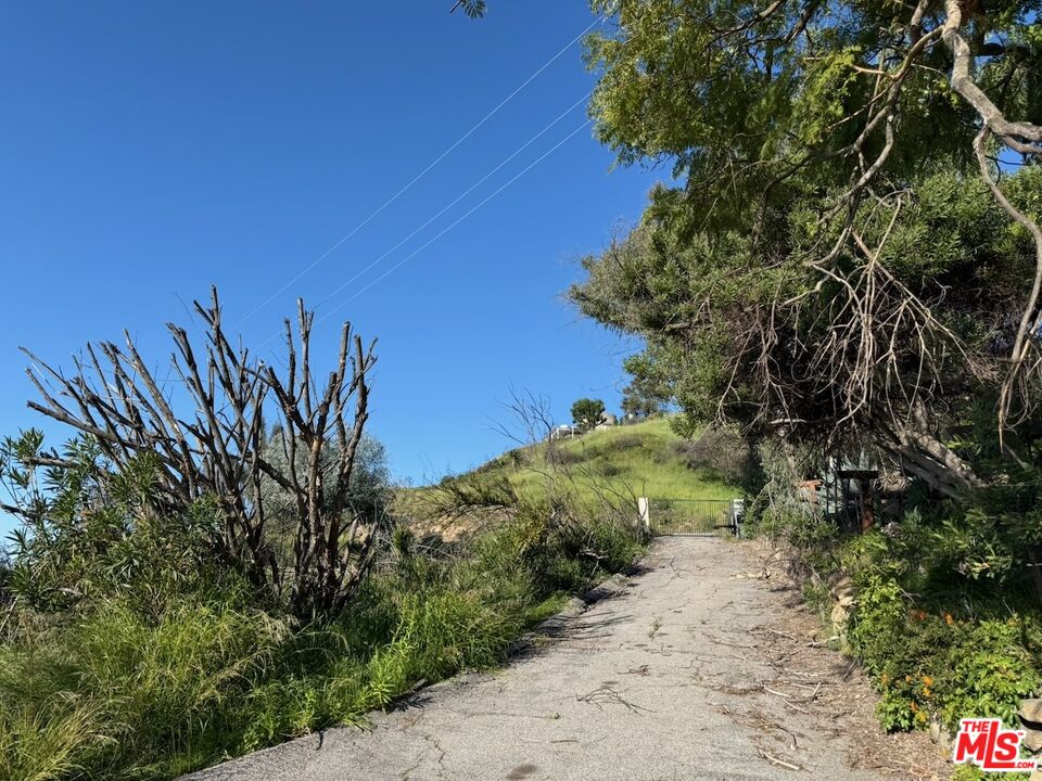2566 Tuna Canyon Road Topanga, CA 90290 - Photo 15 of 30 a view of a plants with a tree in front of it