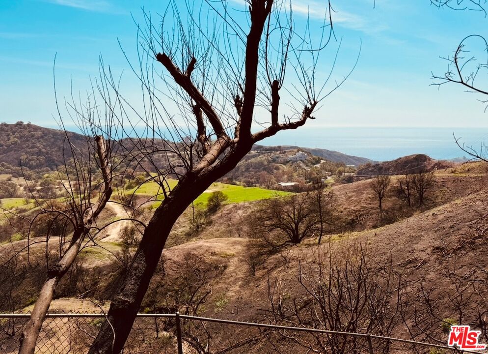 2566 Tuna Canyon Road Topanga, CA 90290 - Photo 21 of 30 a view of a tree in the yard
