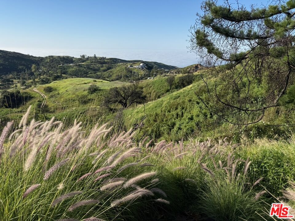 2566 Tuna Canyon Road Topanga, CA 90290 - Photo 23 of 30