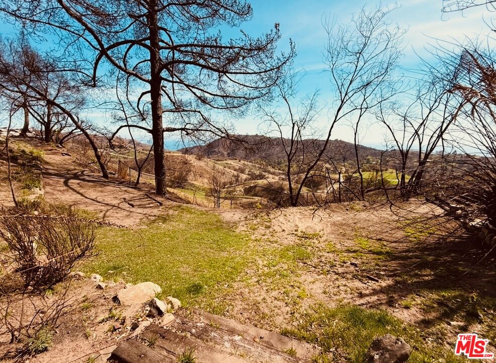 2566 Tuna Canyon Road Topanga, CA 90290 - Photo 24 of 30