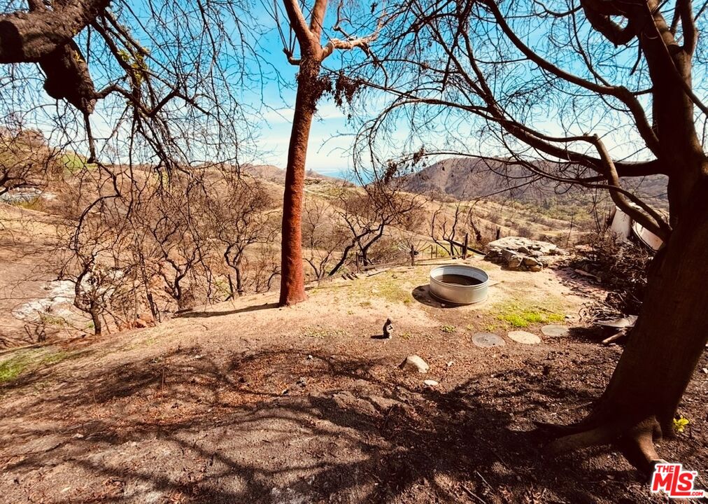 2566 Tuna Canyon Road Topanga, CA 90290 - Photo 26 of 30 a view of a yard with wooden fence