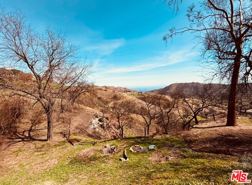 2566 Tuna Canyon Road Topanga, CA 90290 - Photo 27 of 30 a view of mountain covered with snow in front of house