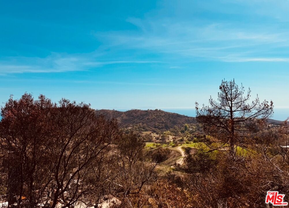 2566 Tuna Canyon Road Topanga, CA 90290 - Photo 30 of 30 a view of a large tree with a field