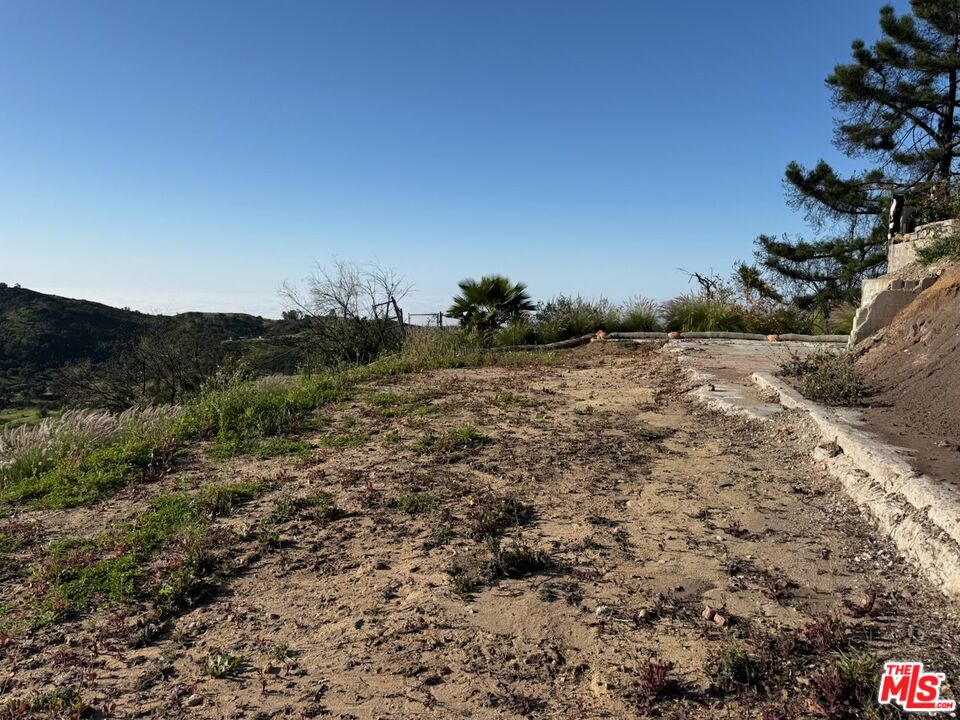2566 Tuna Canyon Road Topanga, CA 90290 - Photo 5 of 30 a view of a field with trees in background
