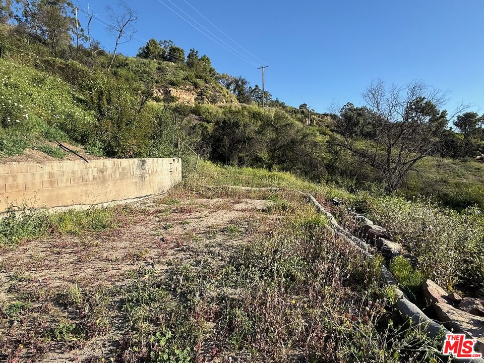 2566 Tuna Canyon Road Topanga, CA 90290 - Photo 7 of 30 a view of a yard with trees