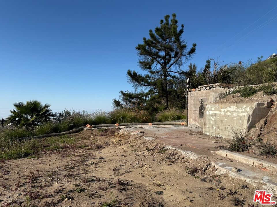 2566 Tuna Canyon Road Topanga, CA 90290 - Photo 10 of 30 a backyard of a house with lots of green space