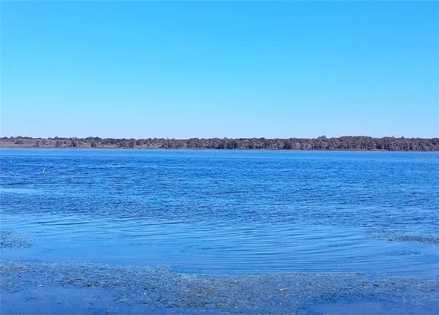 a view of a dining room with furniture a chandelier and wooden floor