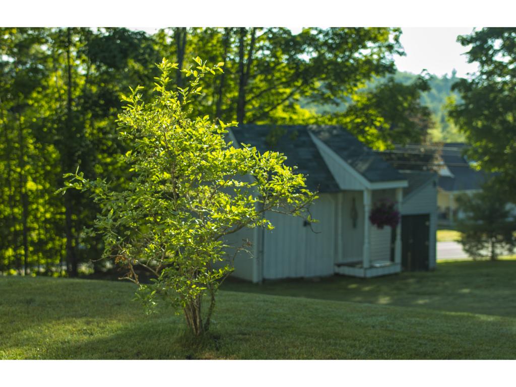 529 Milan Hill Road Milan, NH 03588 - Photo 16 of 24